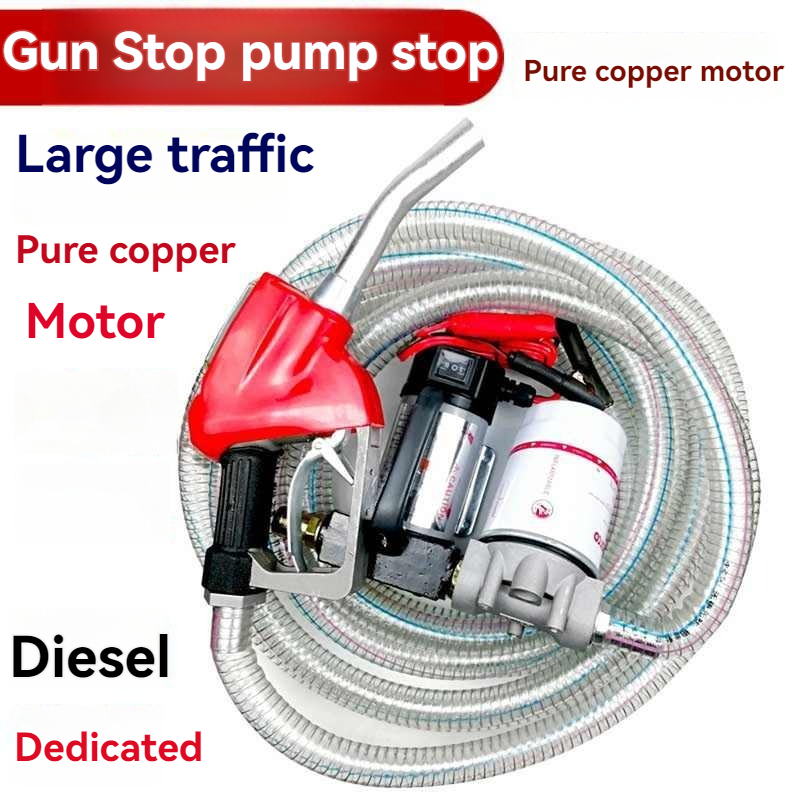 12V/24V/220V Fuel Transfer Pum - Mini Peristaltic Pump 12V recension och pris